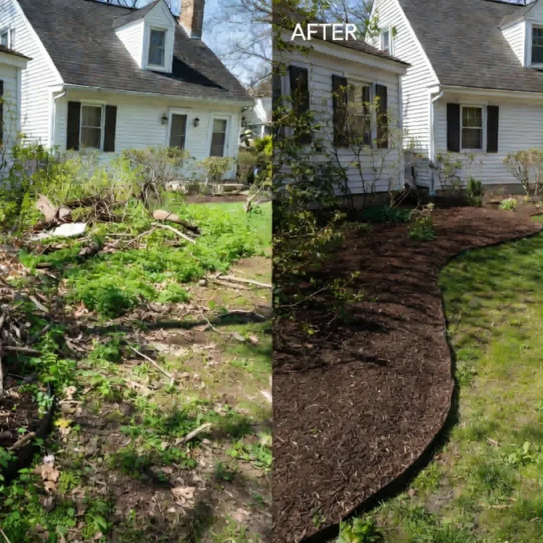 Before and after: a white Cape home where overgrowth was replaced with a clean curved mulch bed